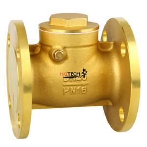 Brass Flange Check Valve