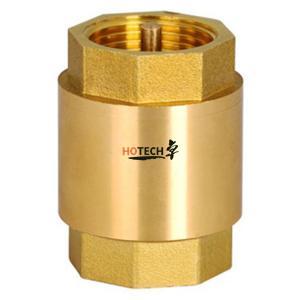 Brass Spring Check Valve