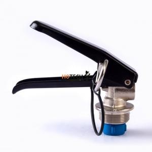 Reliable Brass/Copper alloy forged Valve for Dry Powder Fire Extinguisher