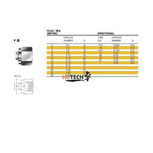 Stainless Steel Plug Cap Nut